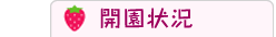 開園状況