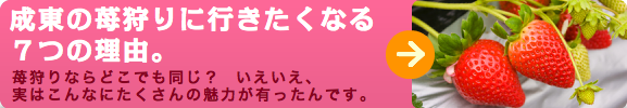 放射能安全性公開データ