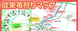 成東苺狩りマップ